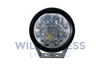 WILDERNESS LIGHTING MINI ORB